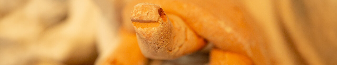 Schildkröte aus unglasiertem Ton, Nahaufnahme